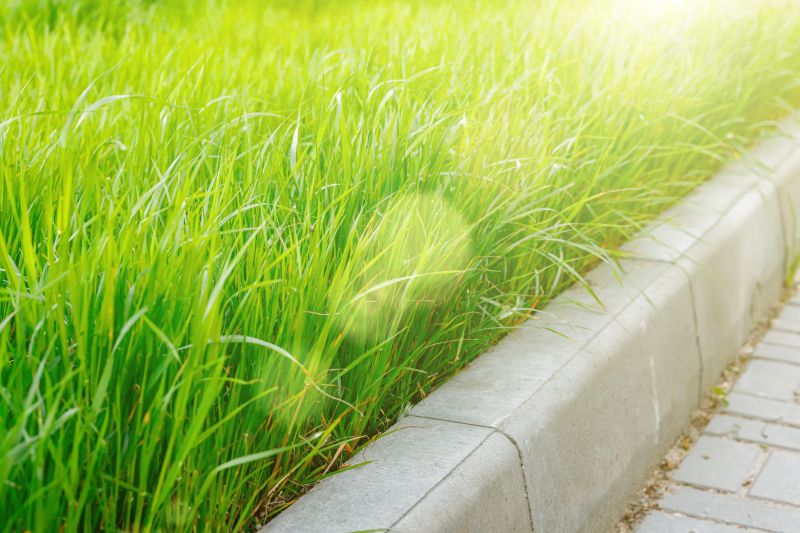 Concrete Edging Installation