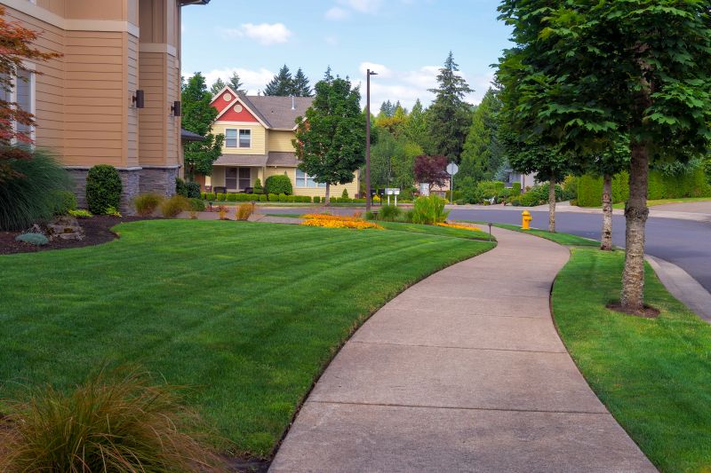 Concrete Sidewalk Installation