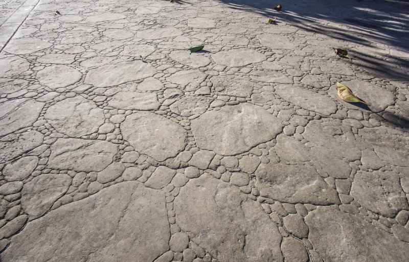 Stamped Concrete Service Ideas To Upgrade Patios And Driveways